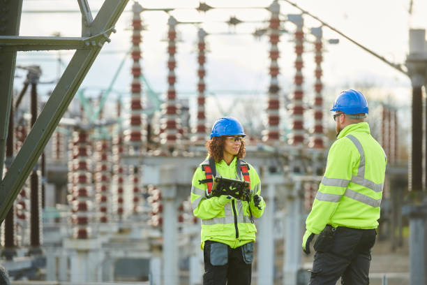 Best Electric Panel Repair  in Palmhurst, TX