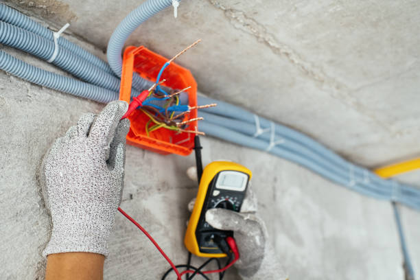 Best Home Electrical Repair  in Palmhurst, TX